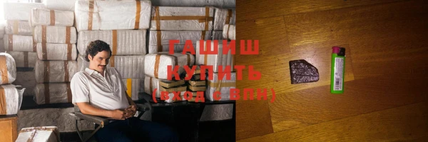 молекула духа Богданович