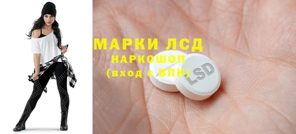 молекула духа Богданович