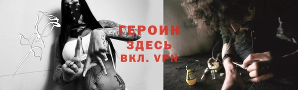 молекула духа Богданович
