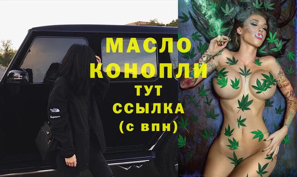 молекула духа Богданович
