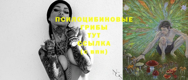 гашик Сосновка