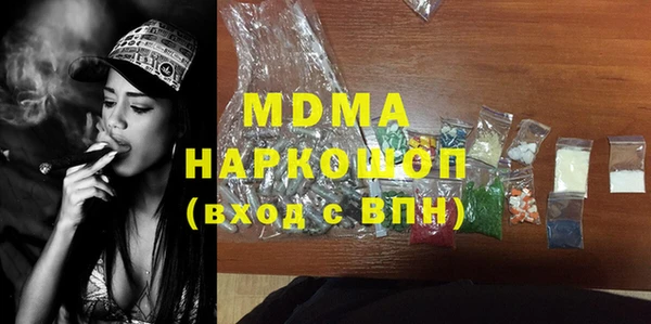 молекула духа Богданович