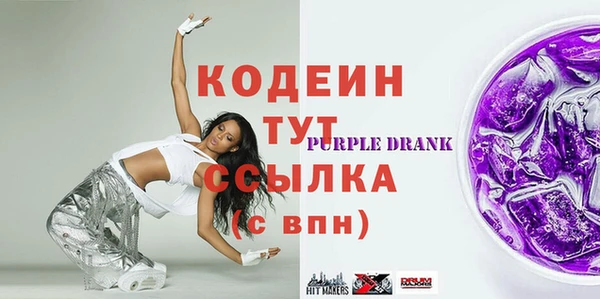 прущий лед Бородино
